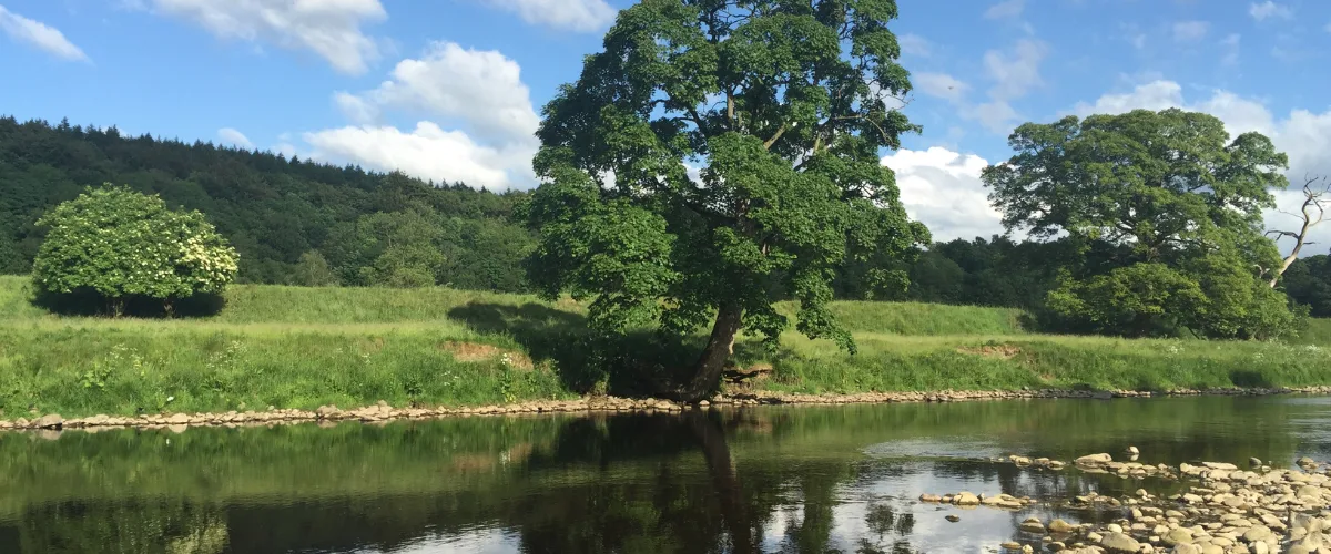A UK river flowing through countryside